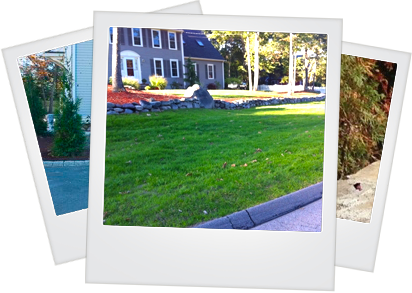 Professional Landscape Maintenance Walpole MA | DT Landscape - polaroids-maintenance